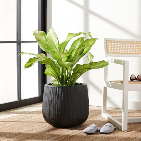 Safavieh Francia Gray Planter PAT1523A